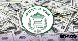 ফেব্রুয়ারির প্রথম দুই দিনে রেমিট্যান্স ৩২ কোটি ৬০ লাখ ডলার